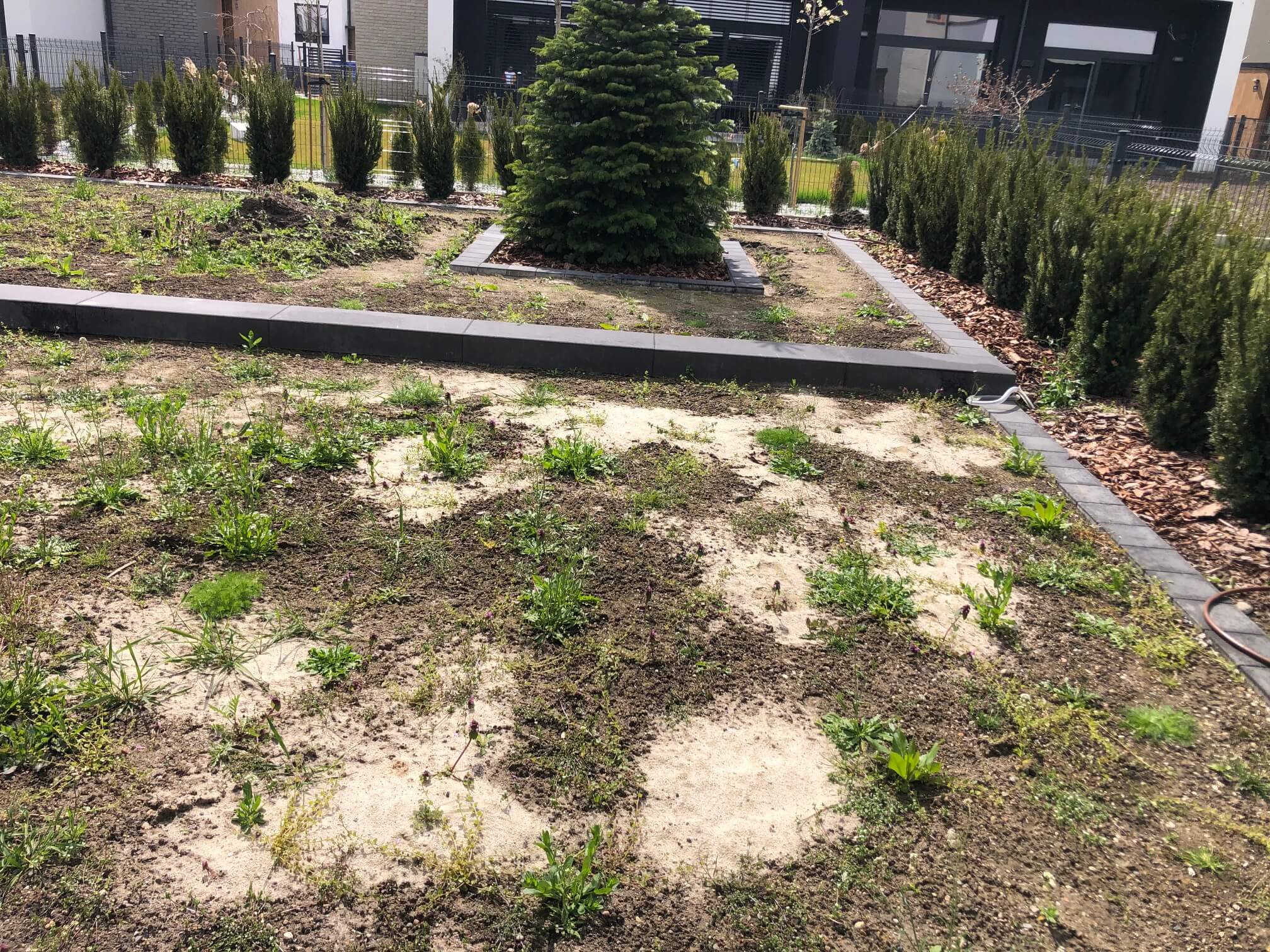 projekt małego ogrodu we Wrocławiu