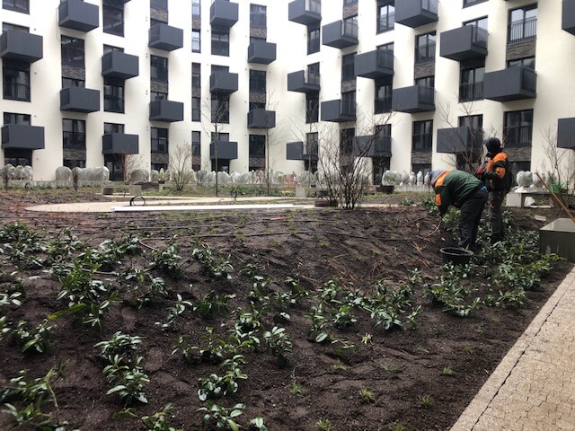 realizacja ogrodów przy blokach mieszkaniowych